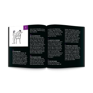 JOGO SEX ROULETTE KAMASUTRA NL-DE-EN-FR-ES-IT-PL-RU-SE-NO - Image 2