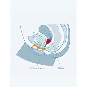 COPO MENSTRUAL FUN CUP A (TURQUESA) - Image 5