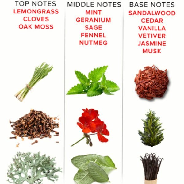 PERFUME MASCULINO ROMANTIC DELUXE | 50 ML