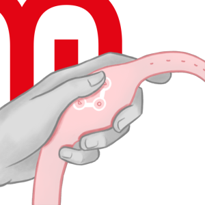 CONTROLO REMOTO WATCHME RELÓGIO (ROSA) - Image 10