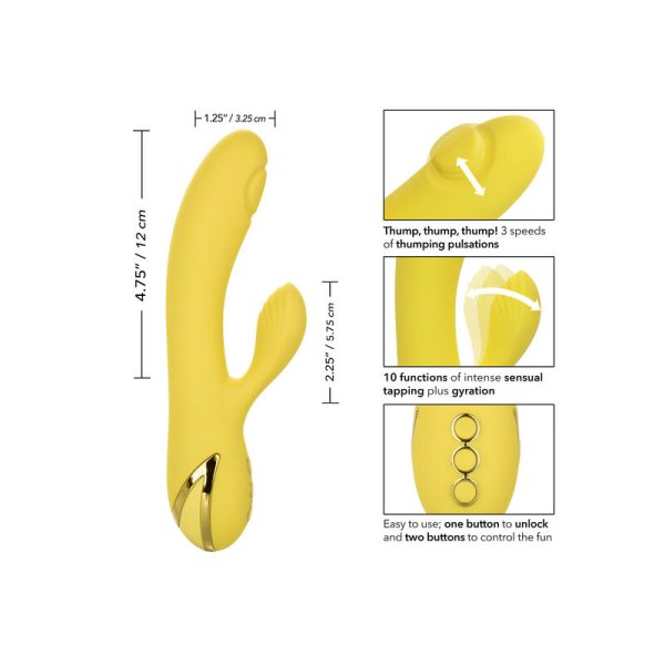 VIBRADOR RABBIT SAN DIEGO SEDUCTION