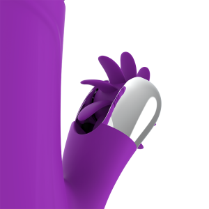 VIBRADOR BUNNY FUNNY UP & DOWN 2.0 14 VIBRADOR BUNNY FUNNY UP & DOWN 2.0 - Image 7