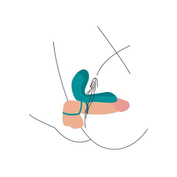 ANEL PARA O PÉNIS XOCOON (VERDE) 4 ANEL PARA O PÉNIS XOCOON (VERDE)