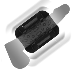 MASTURBADOR MASCULINO CASSIAN - Image 2