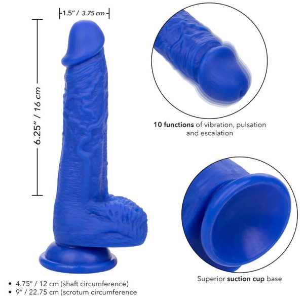 DILDO REALÍSTICO ADMIRAL SAILOR | 19,75 CM 3 DILDO REALÍSTICO ADMIRAL SAILOR | 19,75 CM