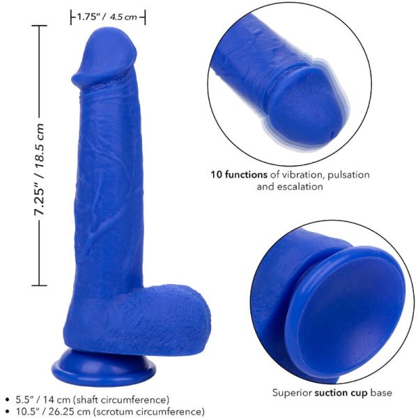 DILDO REALÍSTICO ADMIRAL SAILOR | 22,25 CM 3 DILDO REALÍSTICO ADMIRAL SAILOR | 22,25 CM
