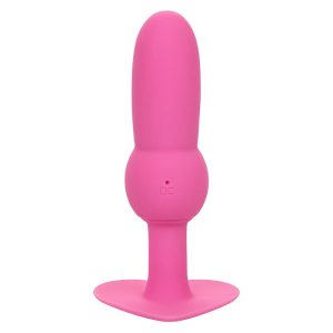 PLUG ANAL FIRST TIME (ROSA) - Image 2