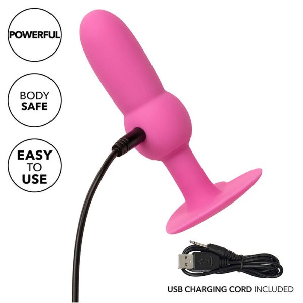 PLUG ANAL FIRST TIME (ROSA)