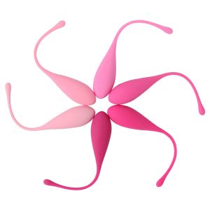 KIT DE TREINO DE PAVIMENTO PÉLVICO LESLIE | 6 PESOS - Image 2