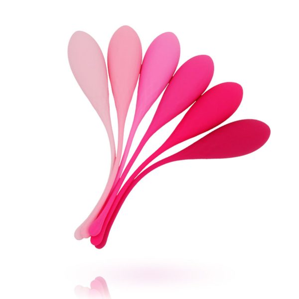 KIT DE TREINO DE PAVIMENTO PÉLVICO LESLIE | 6 PESOS