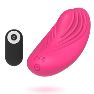 VIBRADOR PARA ROUPA INTERIOR PANTY - Image 6