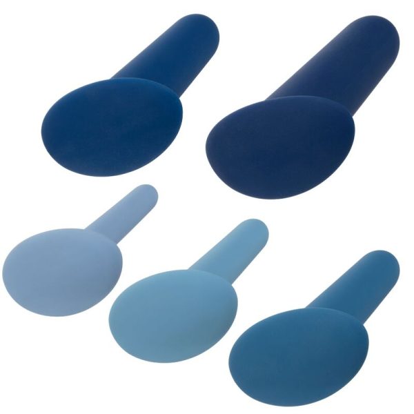 SET DE 5 DILATADORES ANAIS THEY-OLOGY