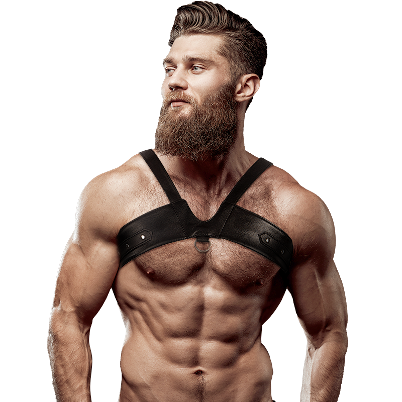 ARNÊS MASCULINO