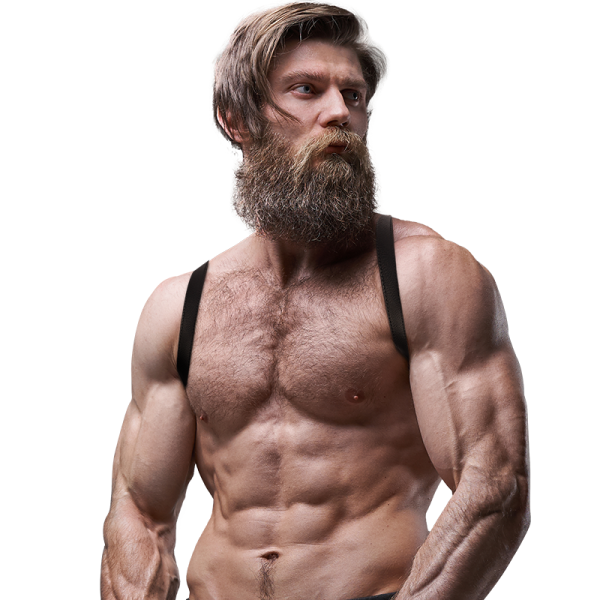 ARNÊS MASCULINO SUBMISSIVE ATTITUDE PEITO #1