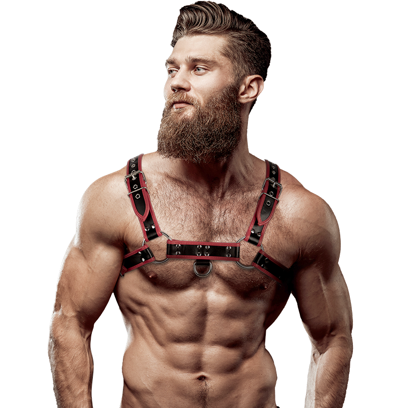 ARNÊS MASCULINO