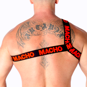 ARNÊS ROMANO MACHO (VERMELHO) | L/XL - Image 4