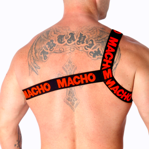 ARNÊS ROMANO MACHO (VERMELHO) | L/XL - Image 3