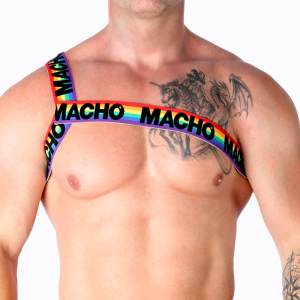 ARNÊS ROMANO MACHO (PRIDE) | S/M - Image 5