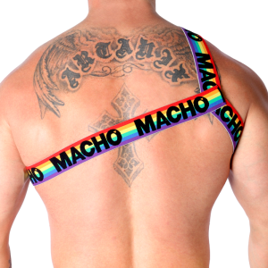 ARNÊS ROMANO MACHO (PRIDE) | L/XL - Image 8