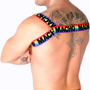 ARNÊS ROMANO MACHO (PRIDE) | L/XL - Image 7