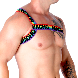 ARNÊS ROMANO MACHO (PRIDE) | L/XL - Image 6