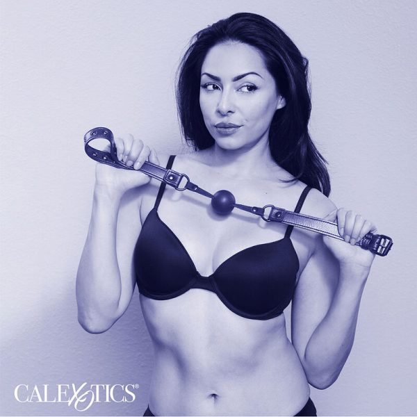 MORDAÇA BDSM NOCTURNAL (BOLA)