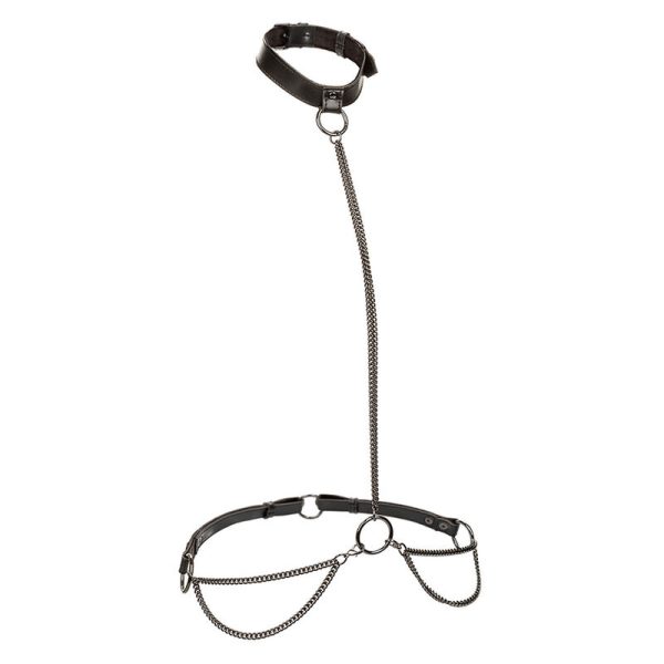 ARNÊS HALTER EUPHORIA (COLEIRA E TRELA) | TAMANHO GRANDE