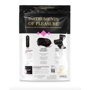 KIT BDSM INSTRUMENTS OF PLEASURE (NÍVEL VIOLETA) - Image 8