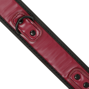 COLEIRA BDSM COM TRELA FETISH DARK ROOM 13 COLEIRA BDSM COM TRELA FETISH DARK ROOM - Image 4