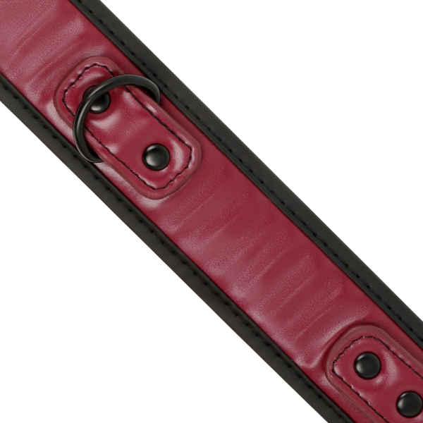 COLEIRA BDSM COM TRELA FETISH DARK ROOM 3 COLEIRA BDSM COM TRELA FETISH DARK ROOM