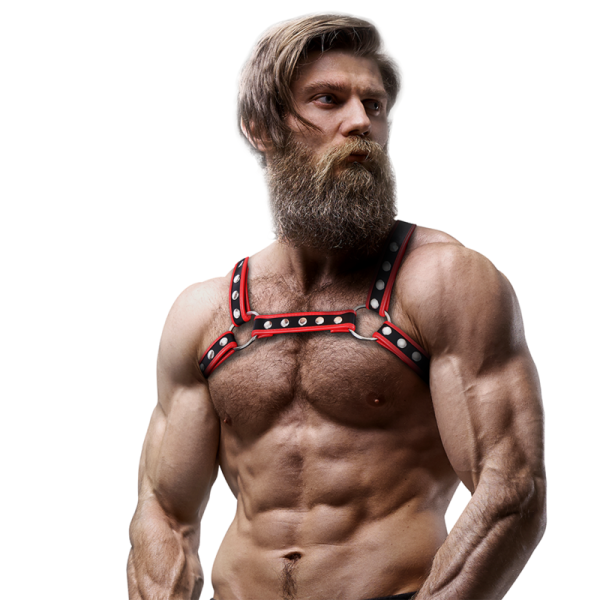 ARNÊS MASCULINO SUBMISSIVE ATTITUDE PEITO #7