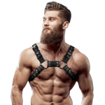 ARNÊS MASCULINO