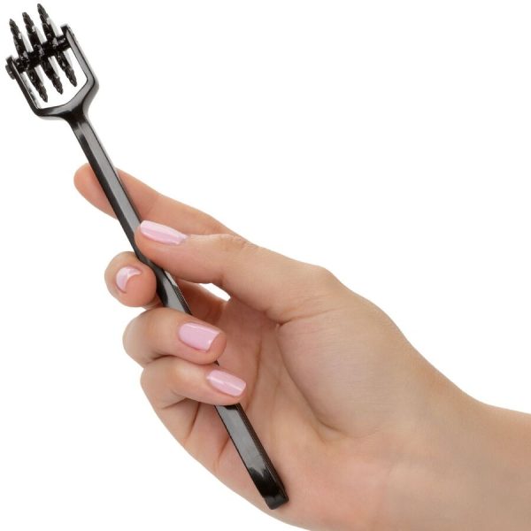 RODA DE PRAZER BDSM SCANDAL