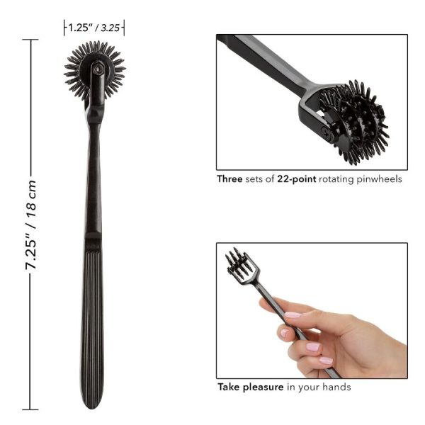 RODA DE PRAZER BDSM SCANDAL