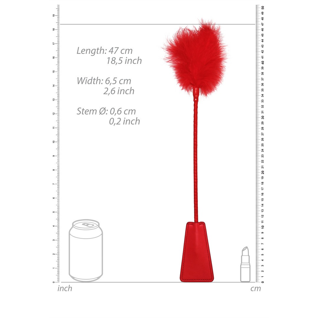 ESPANADOR DE PLUMAS COM CHIBATA