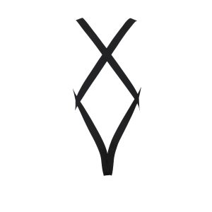 BODY LEON (PRETO) - Image 4