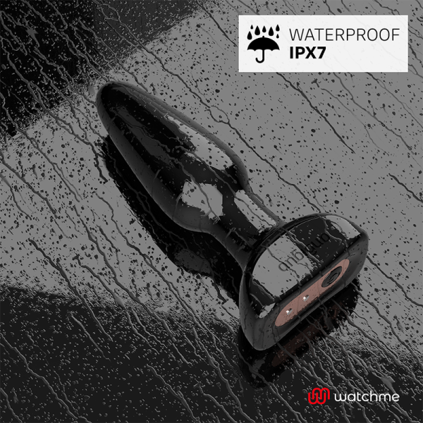 PLUG ANAL ANDRÉ COM COMANDO WATCHME