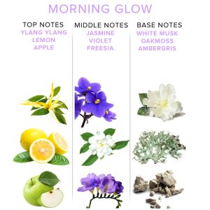 PERFUME COM FEROMONAS MORNING GLOW | 50 ML 8 PERFUME COM FEROMONAS MORNING GLOW | 50 ML - Image 3
