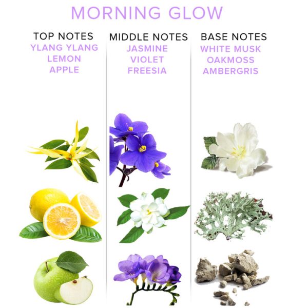 PERFUME COM FEROMONAS MORNING GLOW | 50 ML 2 PERFUME COM FEROMONAS MORNING GLOW | 50 ML