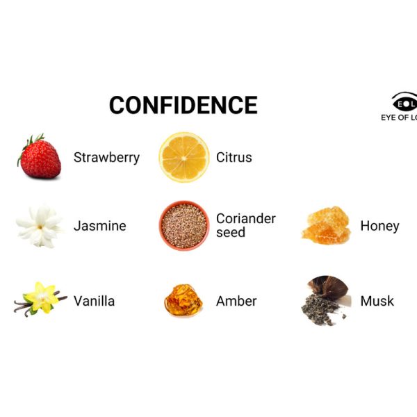 PERFUME COM FEROMONAS CONFIDENCE | 10 ML