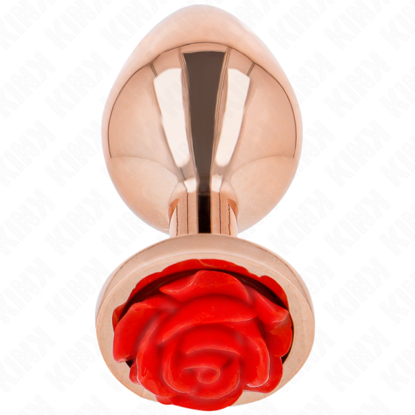 PLUG ANAL