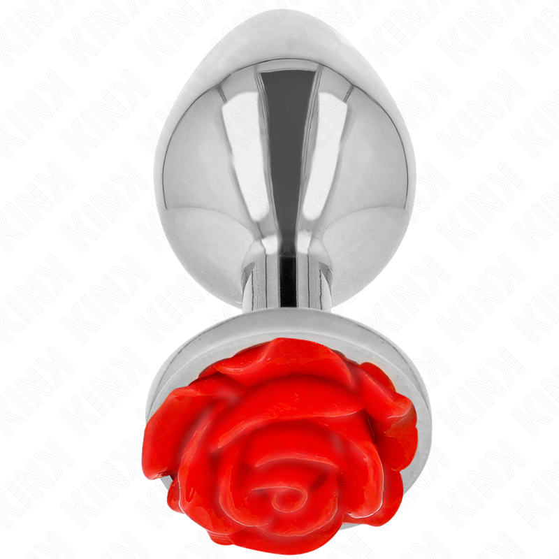 PLUG ANAL