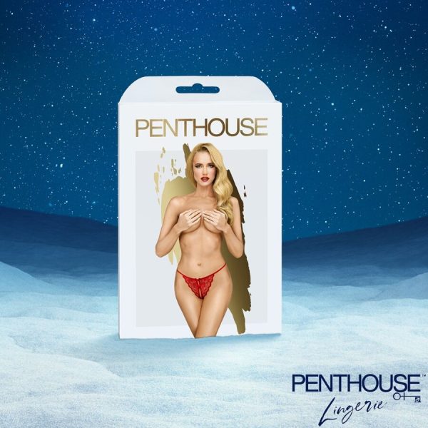 SATISFYER - CALENDARIO ADVIENTO PREMIUM 2025