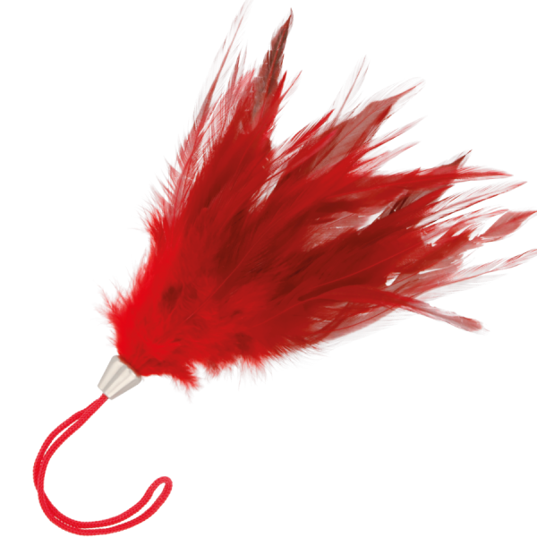PLUMA ESTIMULADORA