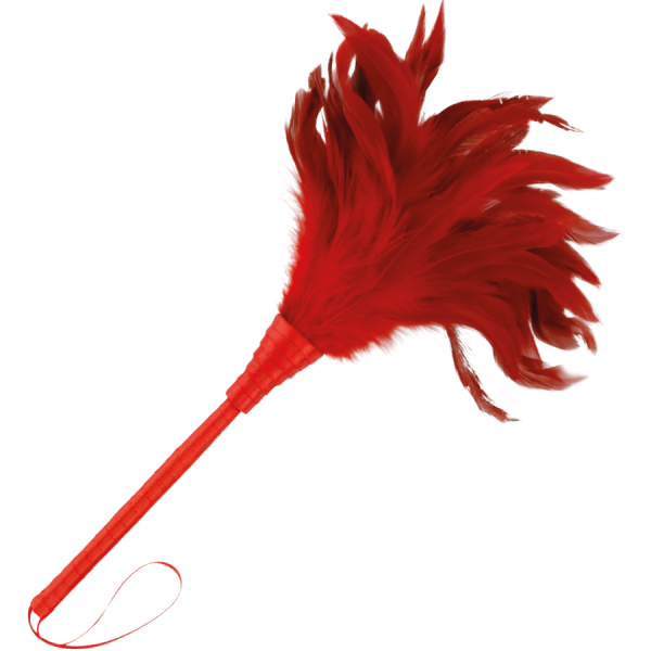 PLUMA ESTIMULADORA