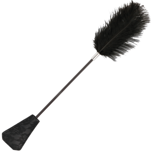 CHIBATA COM PLUMA