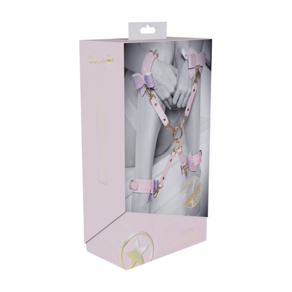 CONEXÃO HOGTIE PARIS