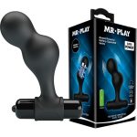 PLUG ANAL VIBRATÓRIO