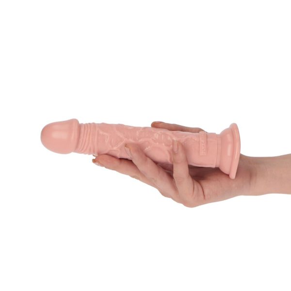 DILDO REALÍSTICO AMEDEO | 19 CM 1 DILDO REALÍSTICO