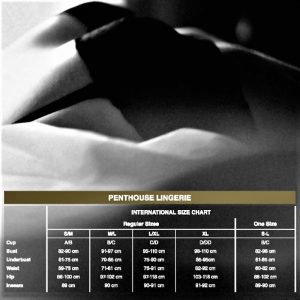 PENTHOUSE - PURE INSTINCTS THONG S/M - Image 3